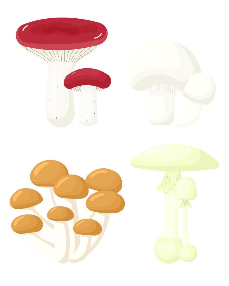 Mushroom set. Collection of different types forest mushroom. russule, champignon, armillaria, death cap. illustration vector