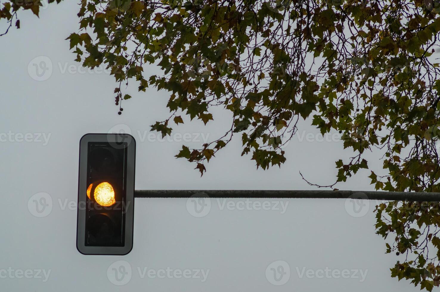 Yellow traffic light shining under cloudy sky and autumn leaves photo