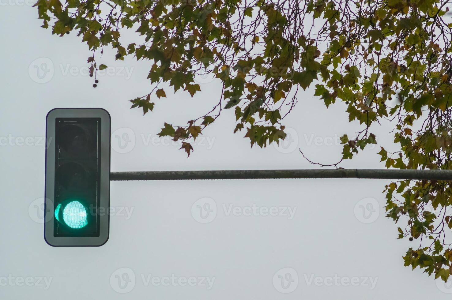 Green traffic light shining under cloudy sky and autumnal tree branches photo