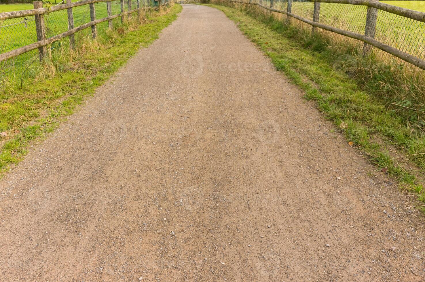 Gravel road leading through green fields and wooden fences photo