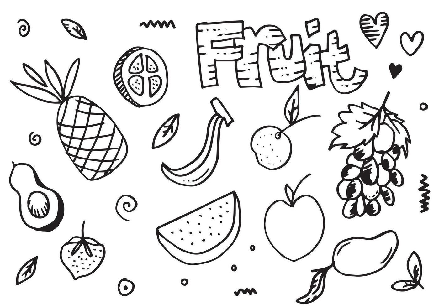 hand drawing of fruits in different styles. vector