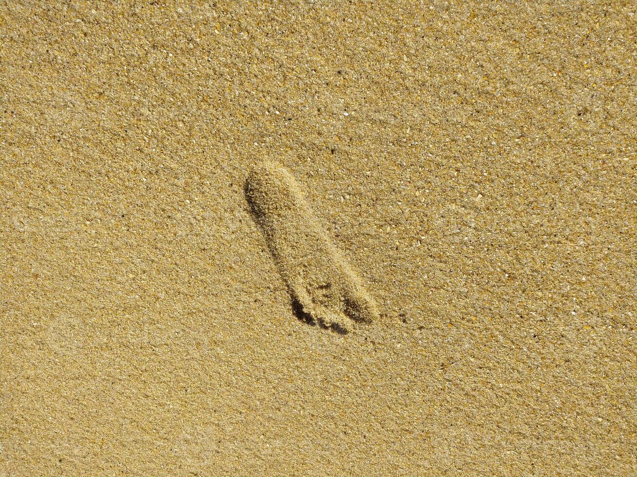 Fine golden sand covering a beach during a sunny day with clear skies, creating a serene and tranquil atmosphere for relaxation photo