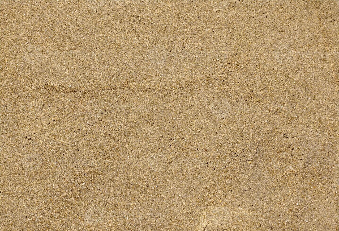Fine golden sand covering a beach during a sunny day with clear skies, creating a serene and tranquil atmosphere for relaxation photo