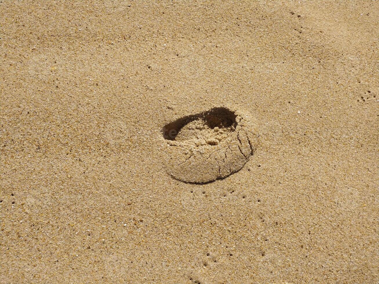 Fine golden sand covering a beach during a sunny day with clear skies, creating a serene and tranquil atmosphere for relaxation photo