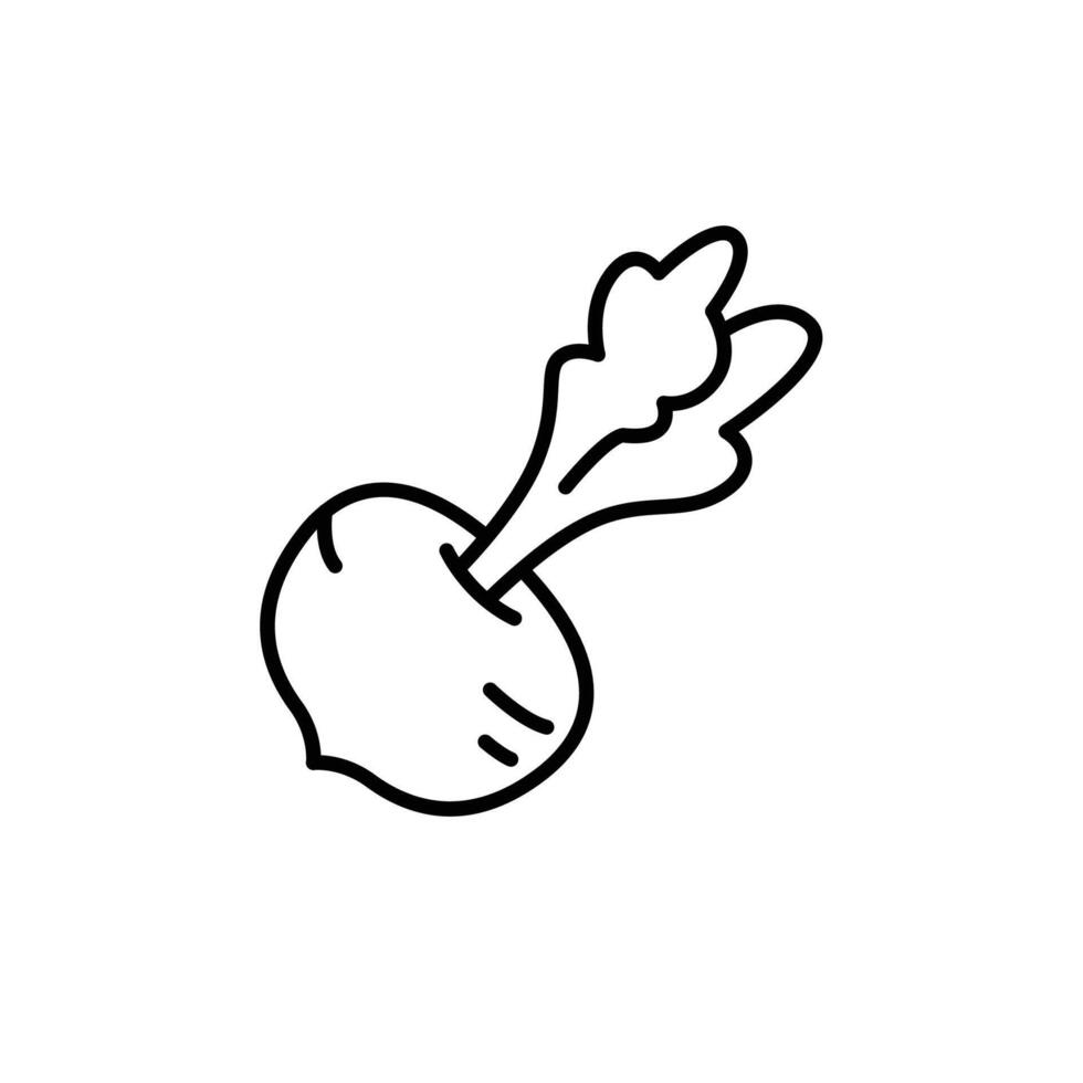 beetroot thin outline icon design good for web or mobile app vector