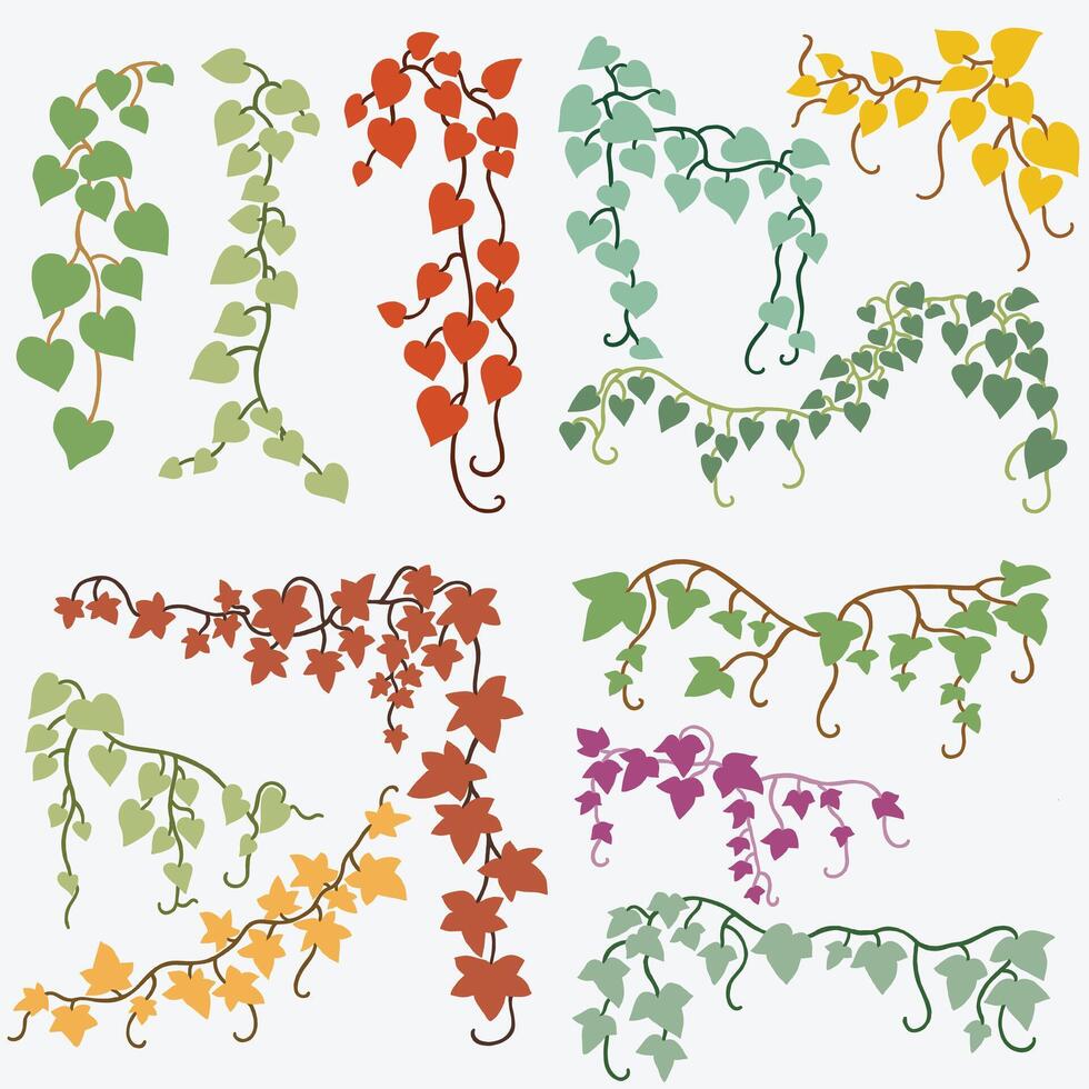 Floral ivy drawing decorative ornament flat design collection. vector