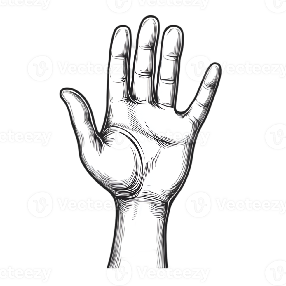 Open Hand Cartoon Illustration png