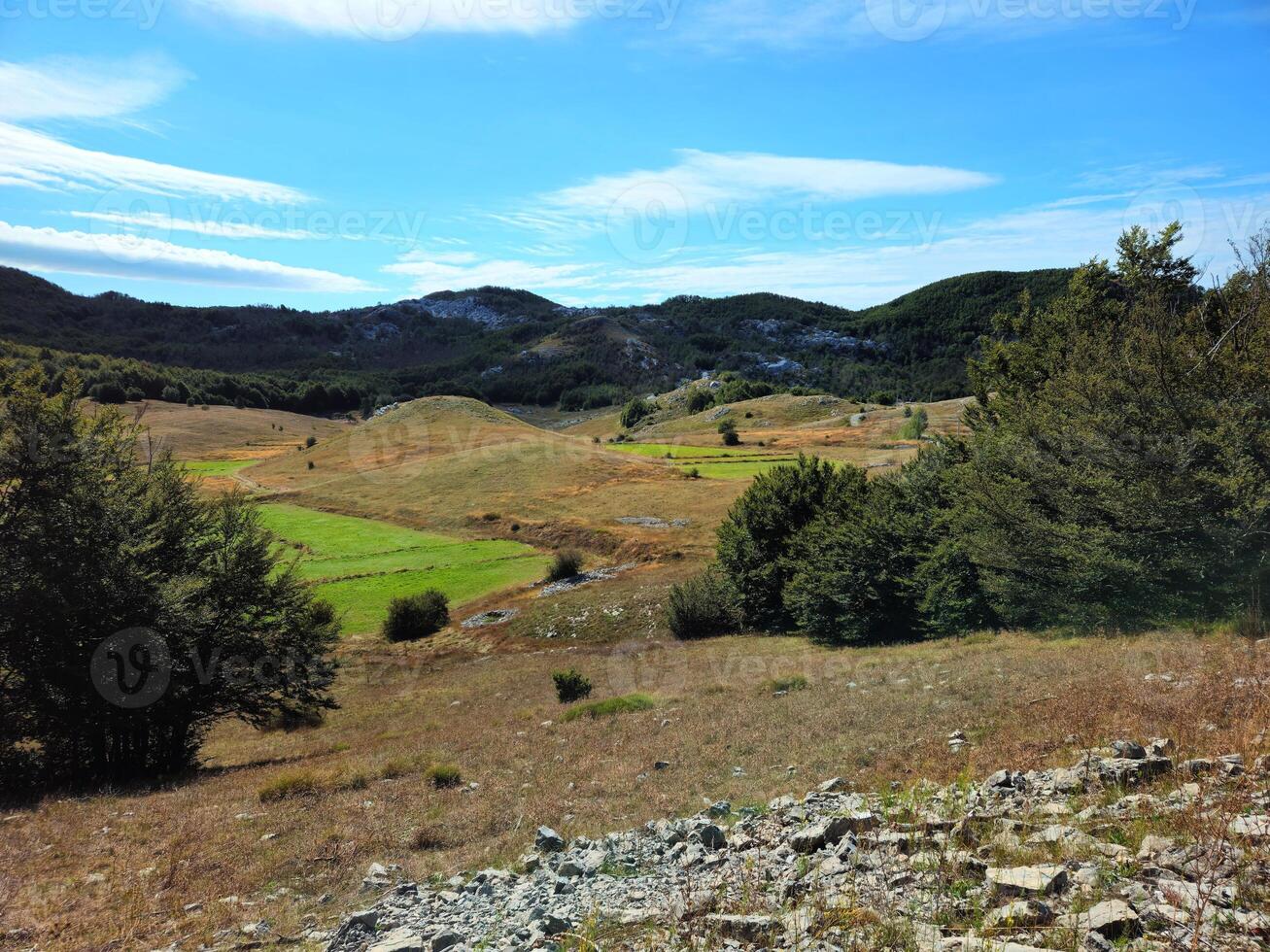 Horizontal view of the rolling grassy hills and meadows in Dolovi, Montenegro, surrounded by scattered trees and distant forested mountains under a bright blue sky. Ideal for travel brochures nature photo