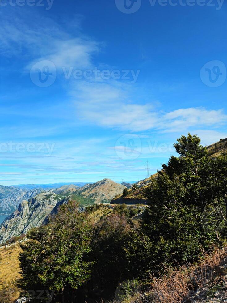 Vertical view of the mountainous landscape near the Bay of Kotor, Montenegro, with green trees, a winding road, and a bright blue sky with copy space. Ideal for travel ads, posters, or social media photo