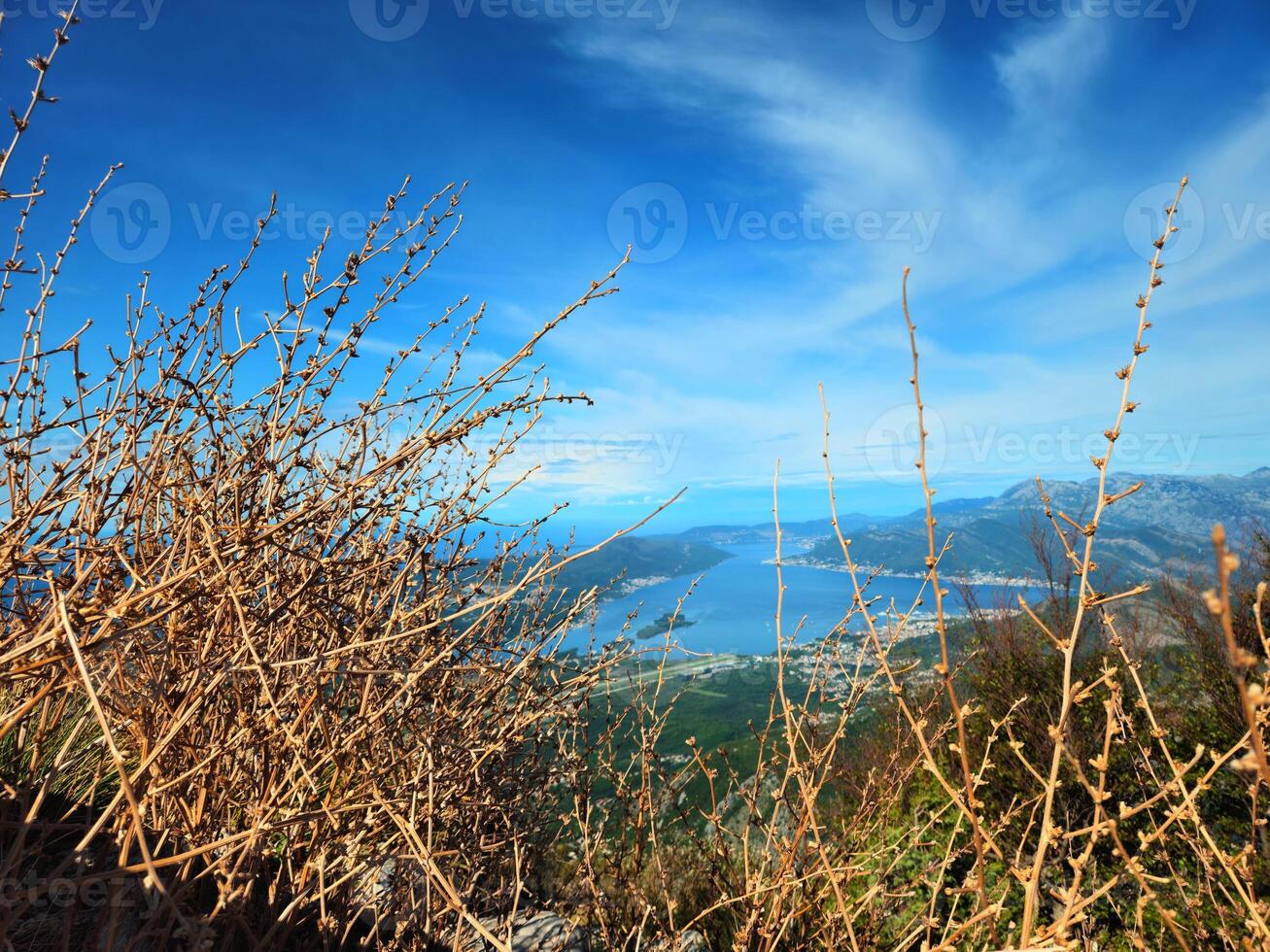 Horizontal close-up of dry twigs and branches with a blurred view of the Bay of Kotor, Montenegro, and mountains in the background under a bright blue sky. Perfect for nature backgrounds or travel ads photo