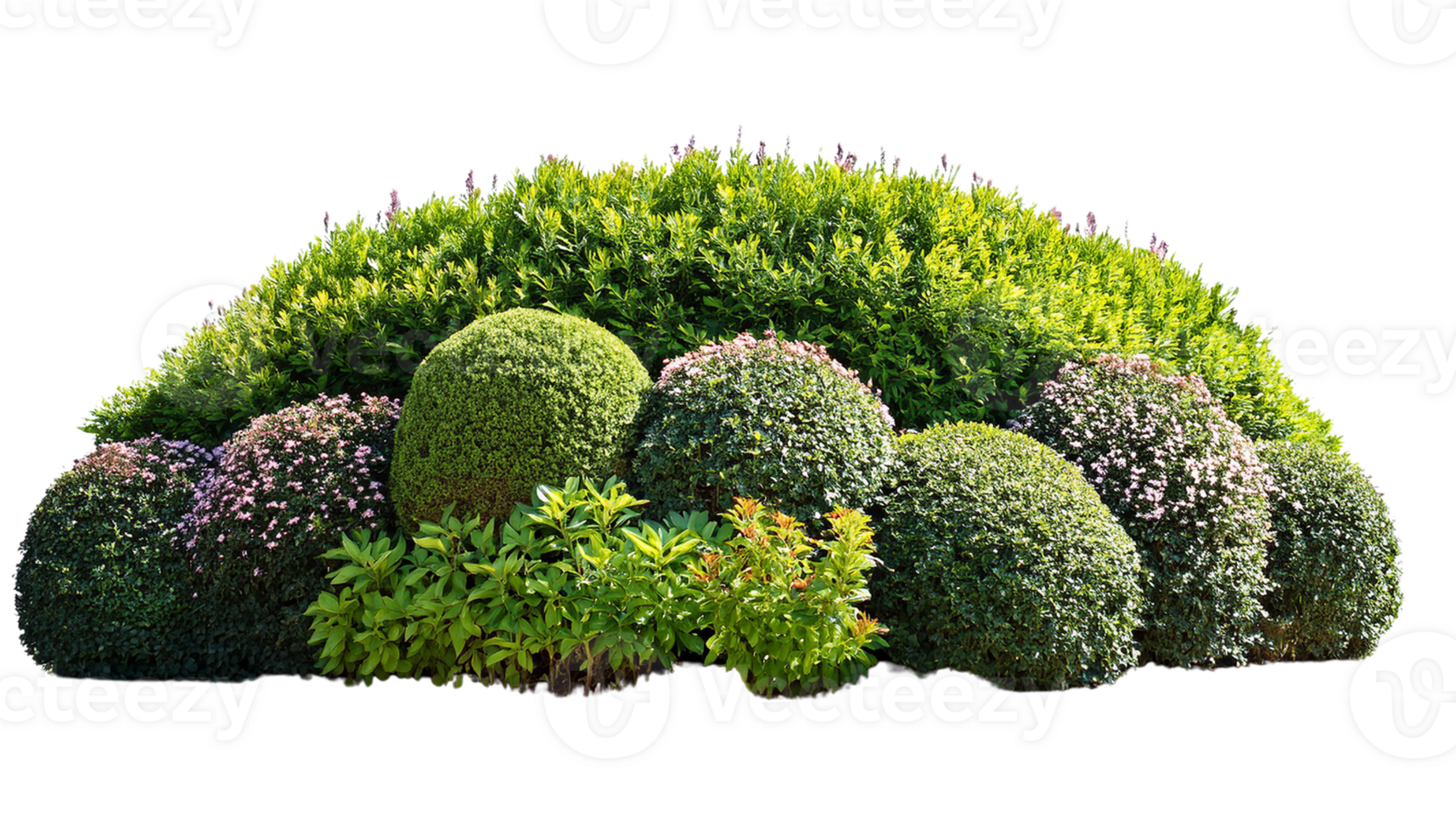 Variety of lush green shrubs, vibrant foliage png