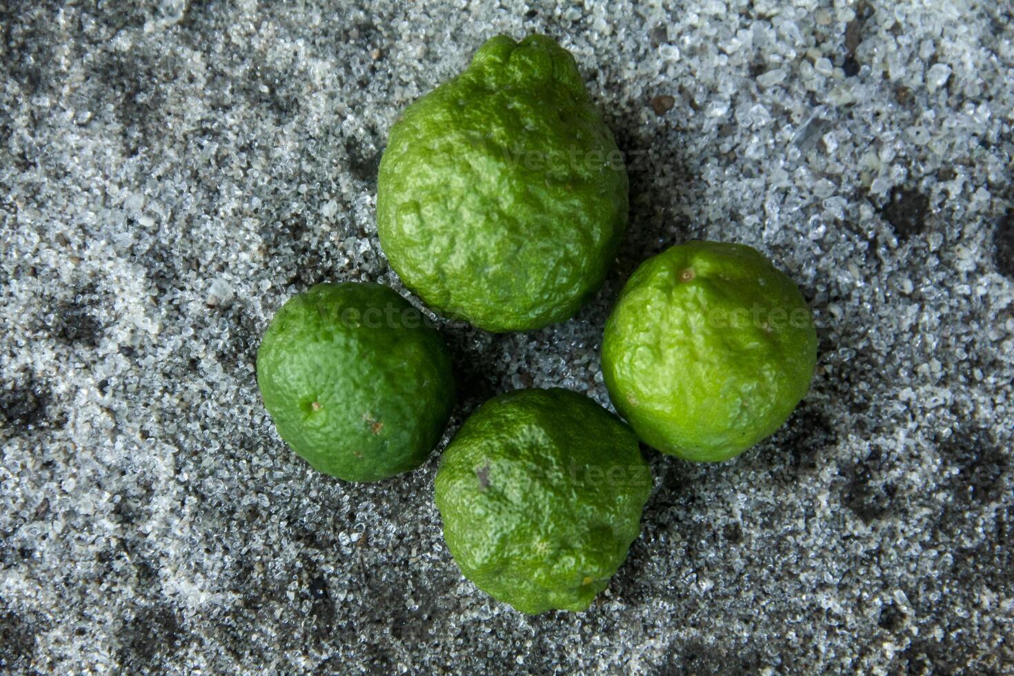 Bergamot fruits or kaffir lime fruit, is a plant that has many uses, the leaves of this plant are often used as a cooking ingredient so that it has a more delicious smell and taste. photo