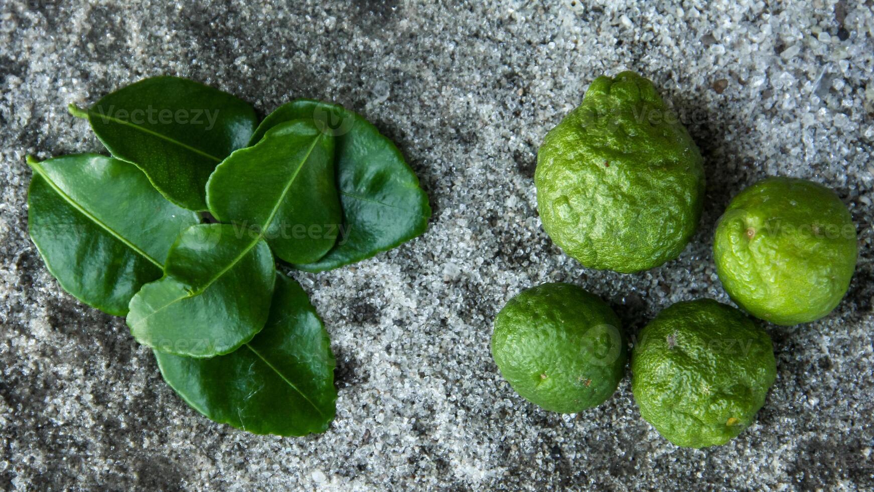 Bergamot fruits or kaffir lime fruit, is a plant that has many uses, the leaves of this plant are often used as a cooking ingredient so that it has a more delicious smell and taste. photo
