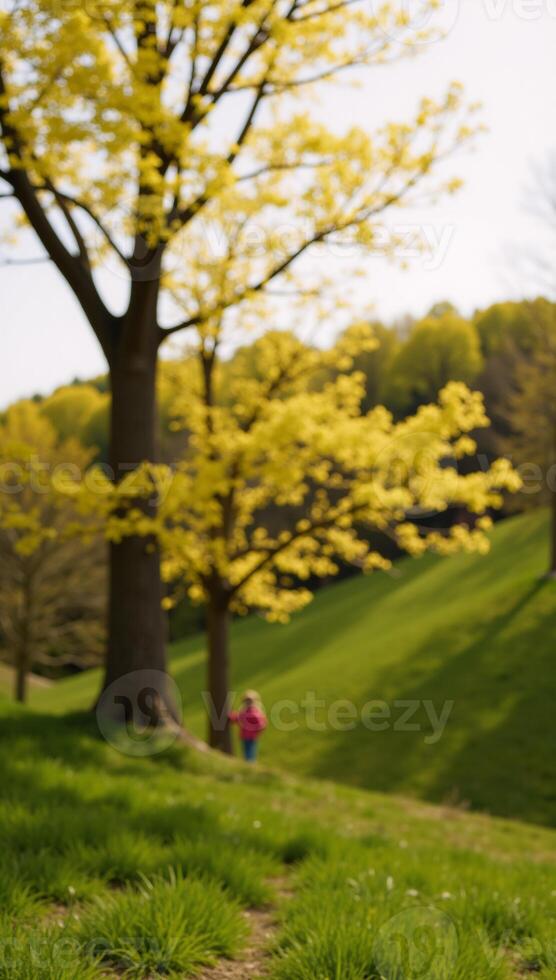 A blurred scene featuring trees bathed in sunshine during spring or summer photo