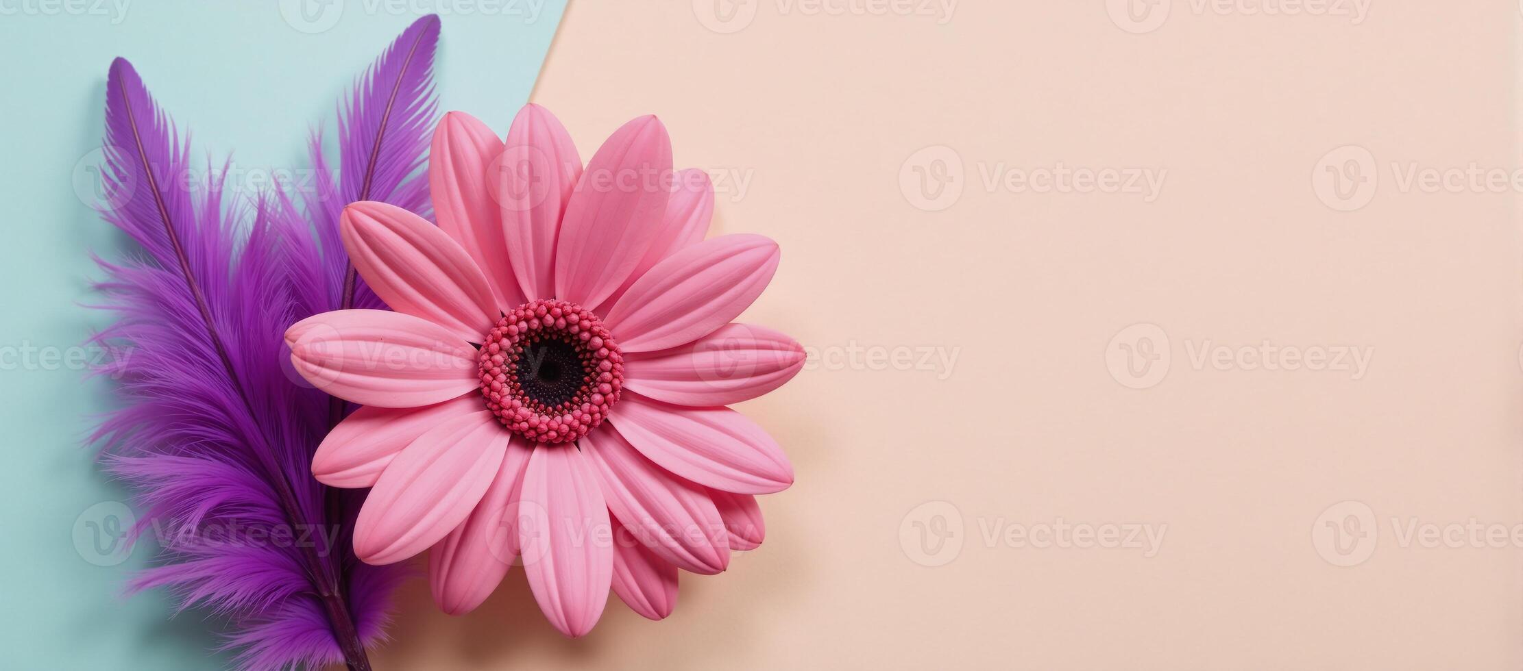 Create a colorful springinspired flowerfilled pastel gradient background with daisies and feathers for a vibrant soft and decorative nature design photo