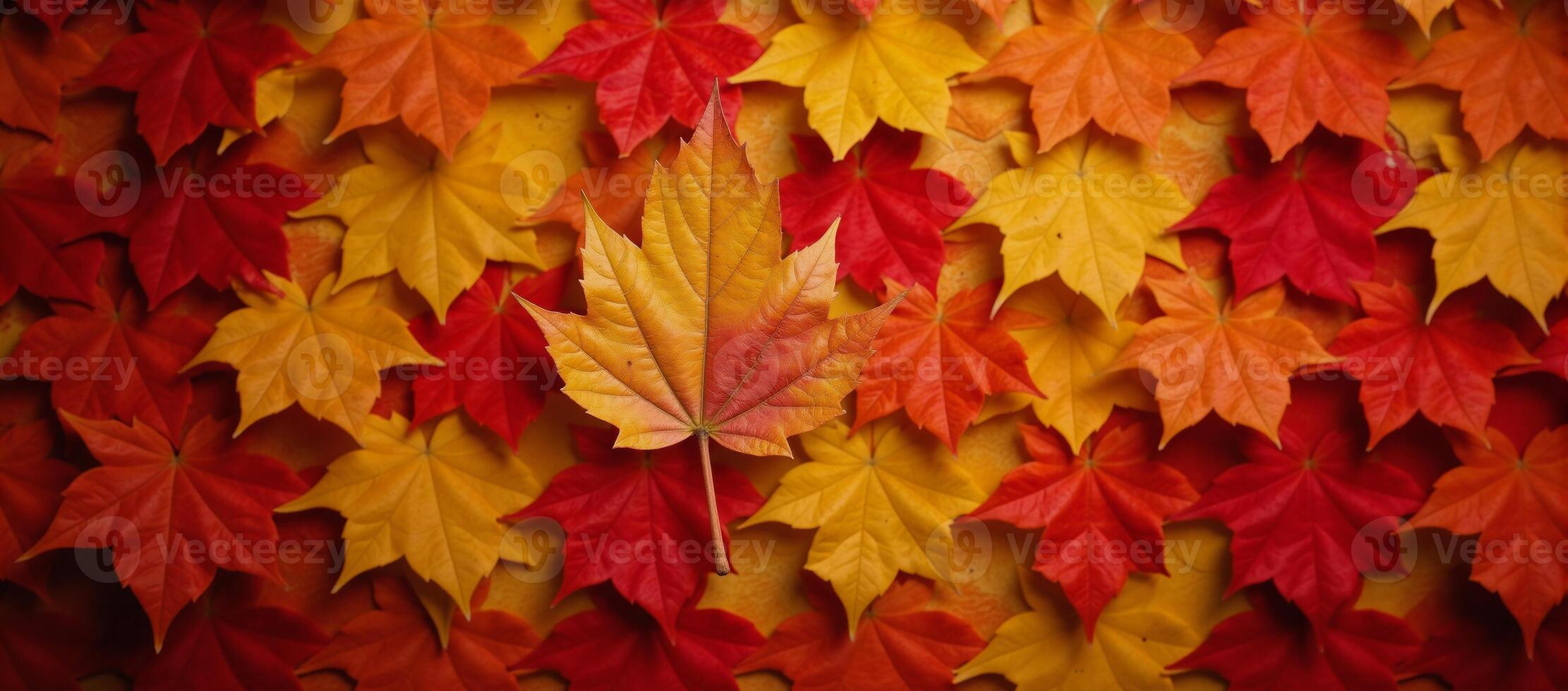 Autumn leaves create intricate patterns throughout various plant backdrops photo