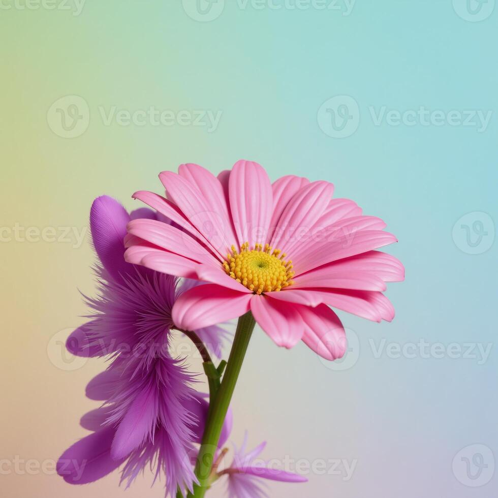 Create a colorful springinspired flowerfilled pastel gradient background with daisies and feathers for a vibrant soft and decorative nature design photo