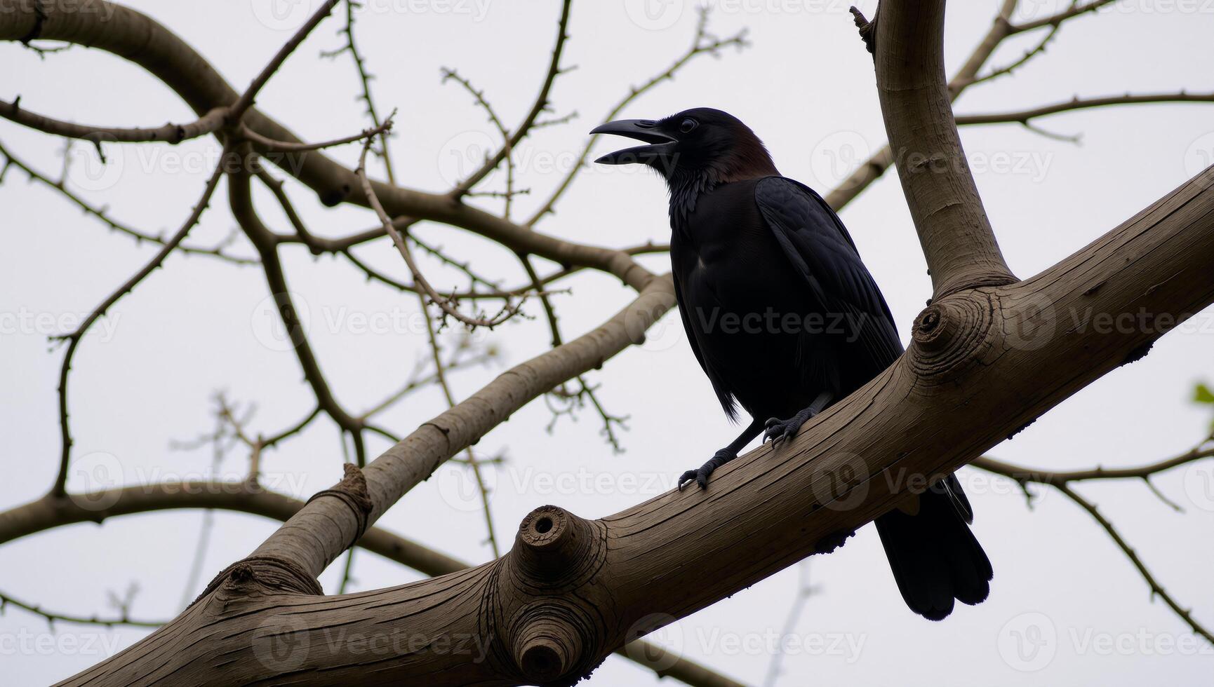 A solitary black raven perched atop a tree branch photo