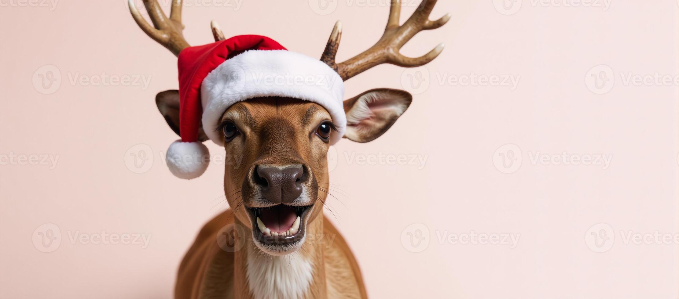 A humorous reindeer donning Santa hat captured against a vibrant colored backdrop for a fun studio setting photo