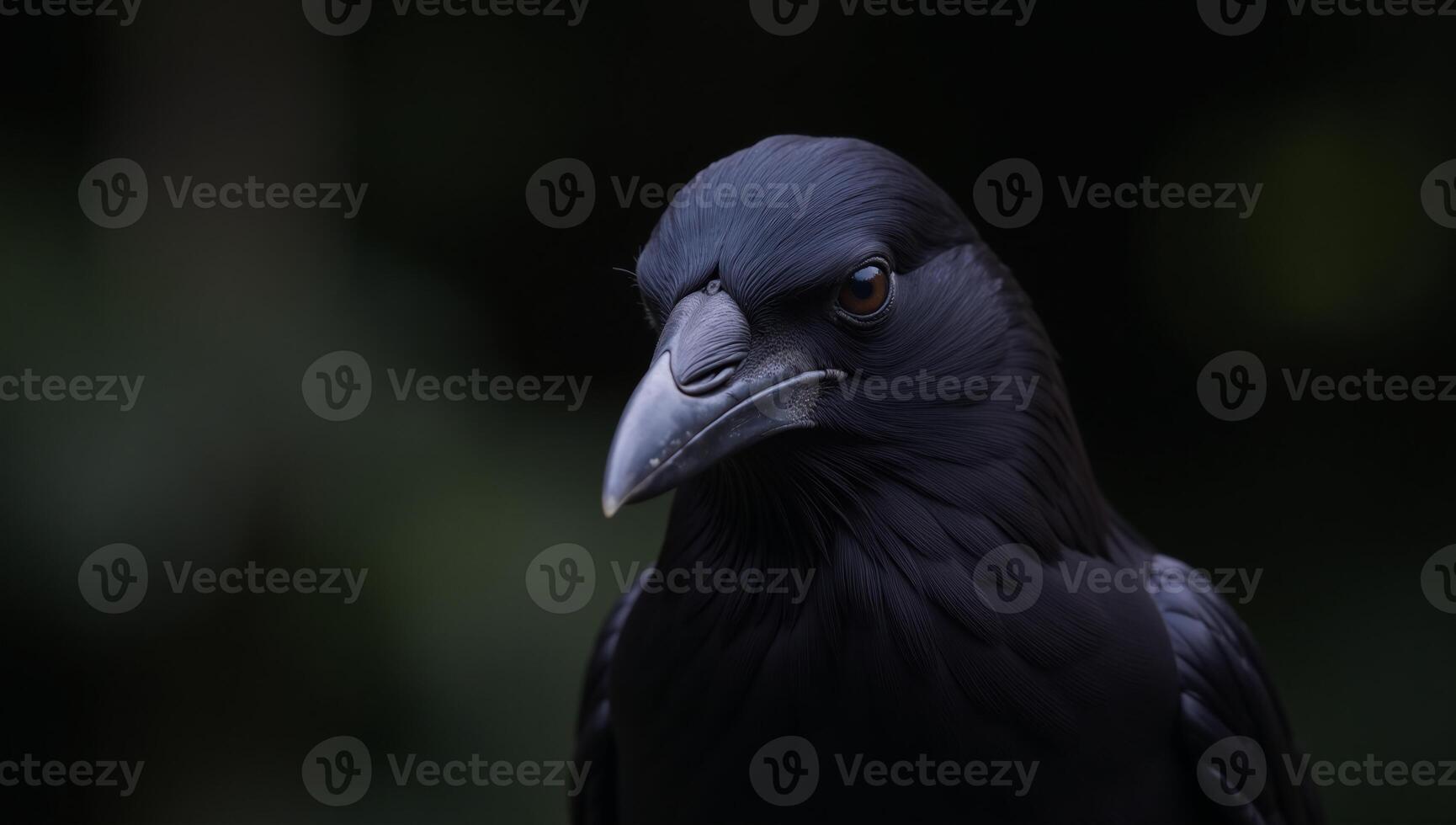 Digital illustration featuring an intricately detailed crow sitting on a branch against a monochromatic background photo