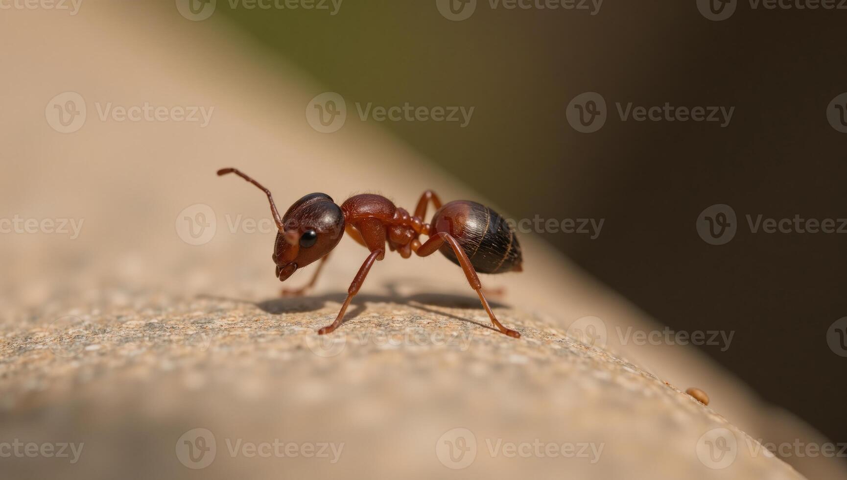 Adorable illustration showcases a playful ant with expressive eyes featuring intricate details that highlight its cute characteristics photo