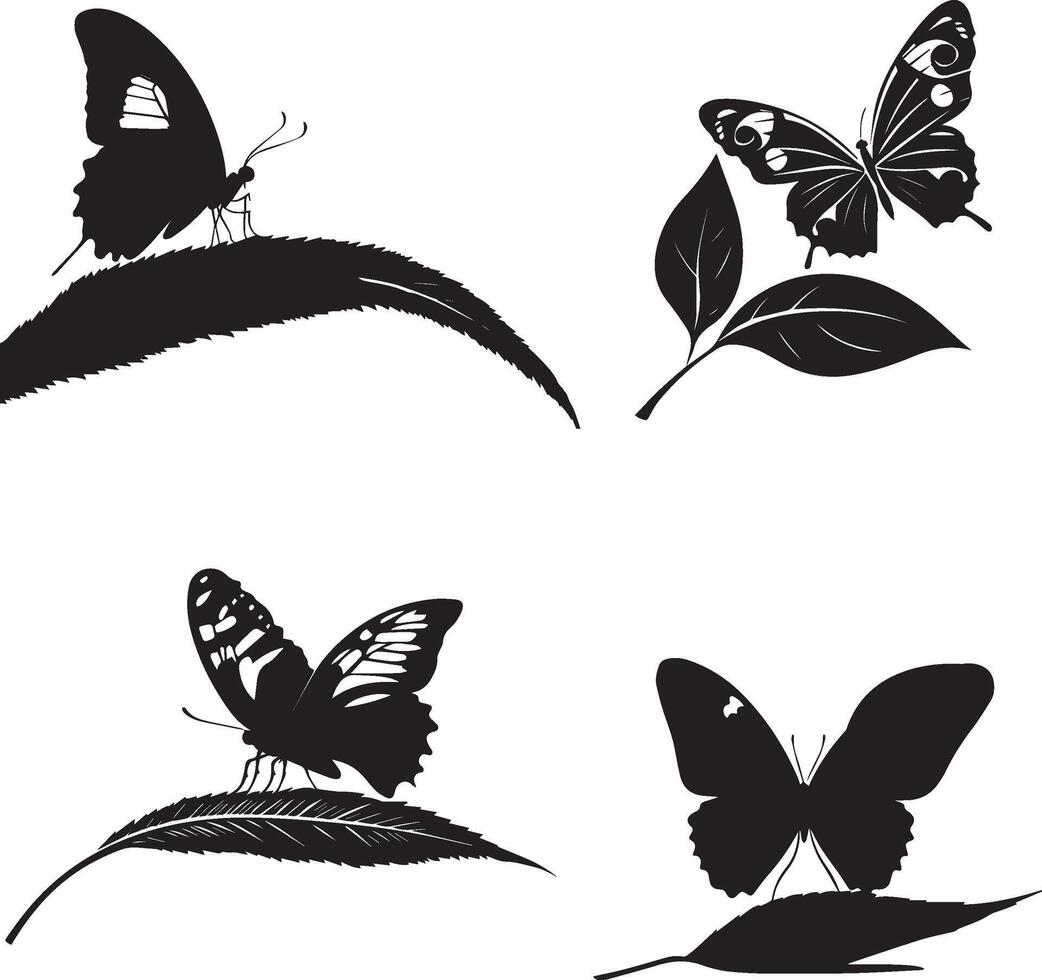 Silhouette of butterfly sit a leave on white background vector