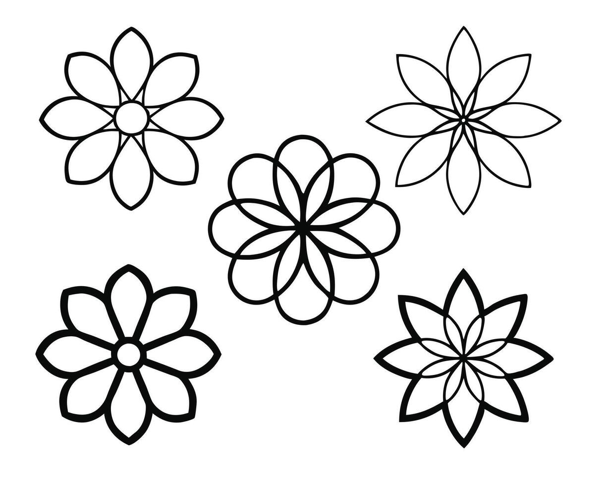 Stylish Flower Outline Illustrations for Elegant Design Projects vector