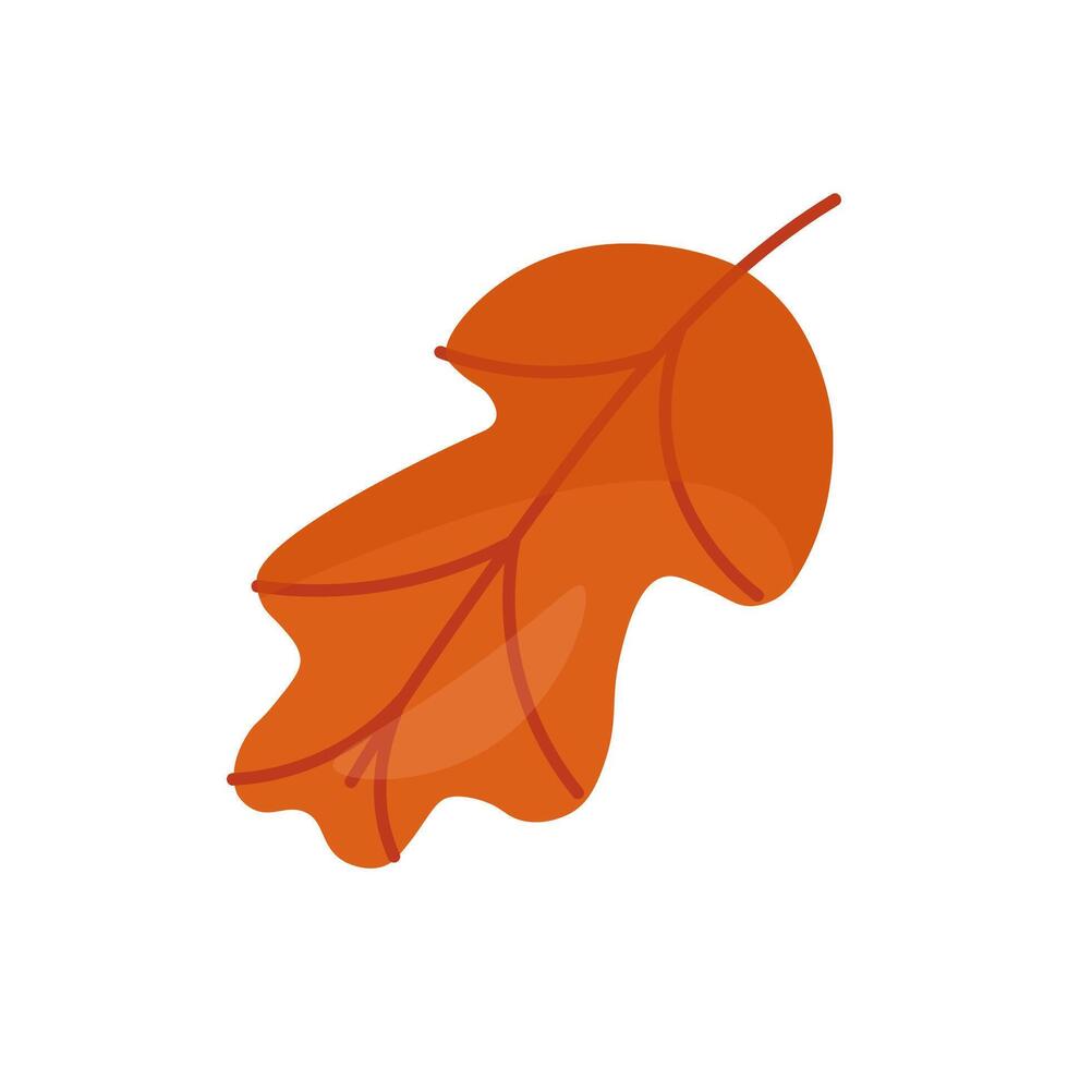 Orange autumn leaf on a white background. illustration vector