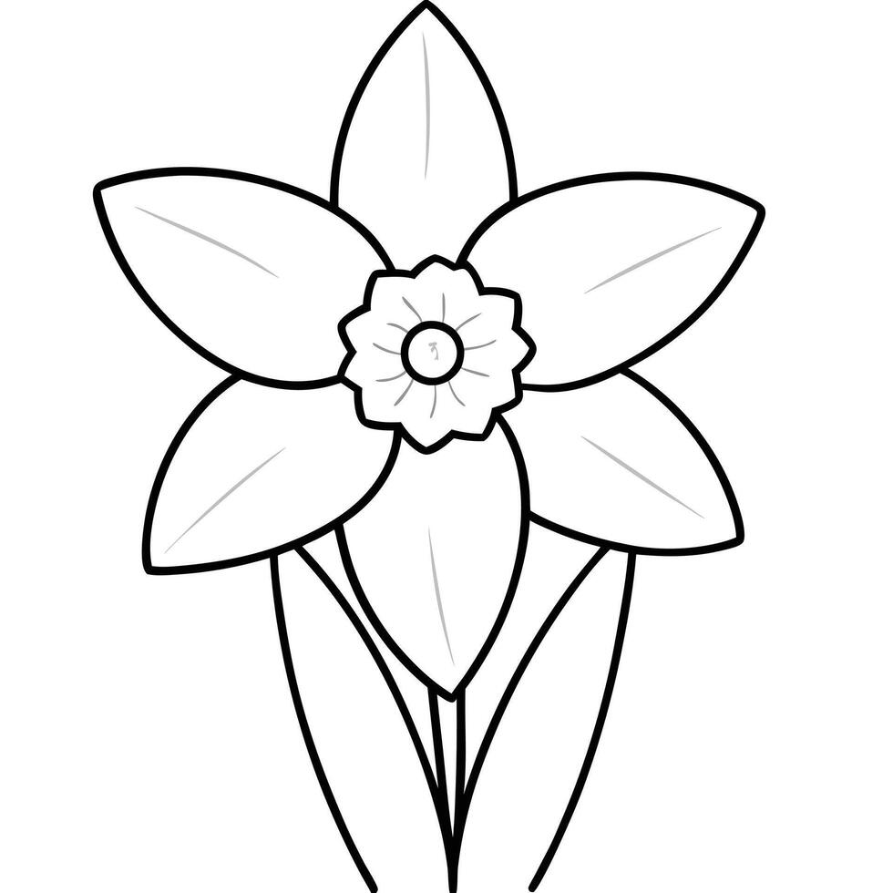 Daffodil flower coloring pages vector