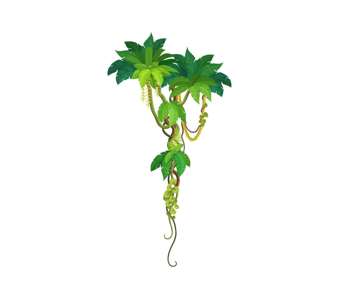 Tropical jungle rain forest vertical liana leaves vector