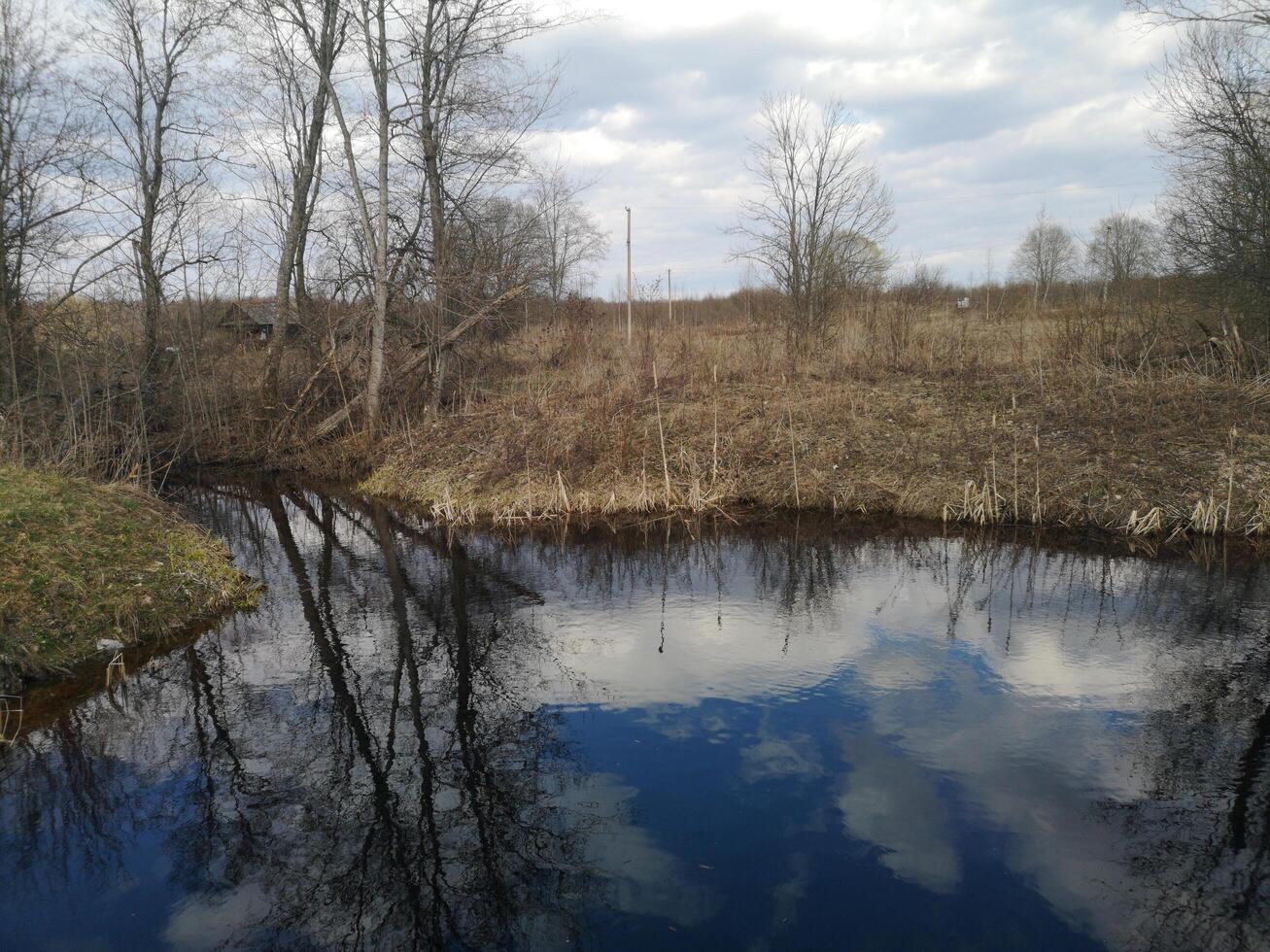 a small pond with trees and sky reflected in it photo