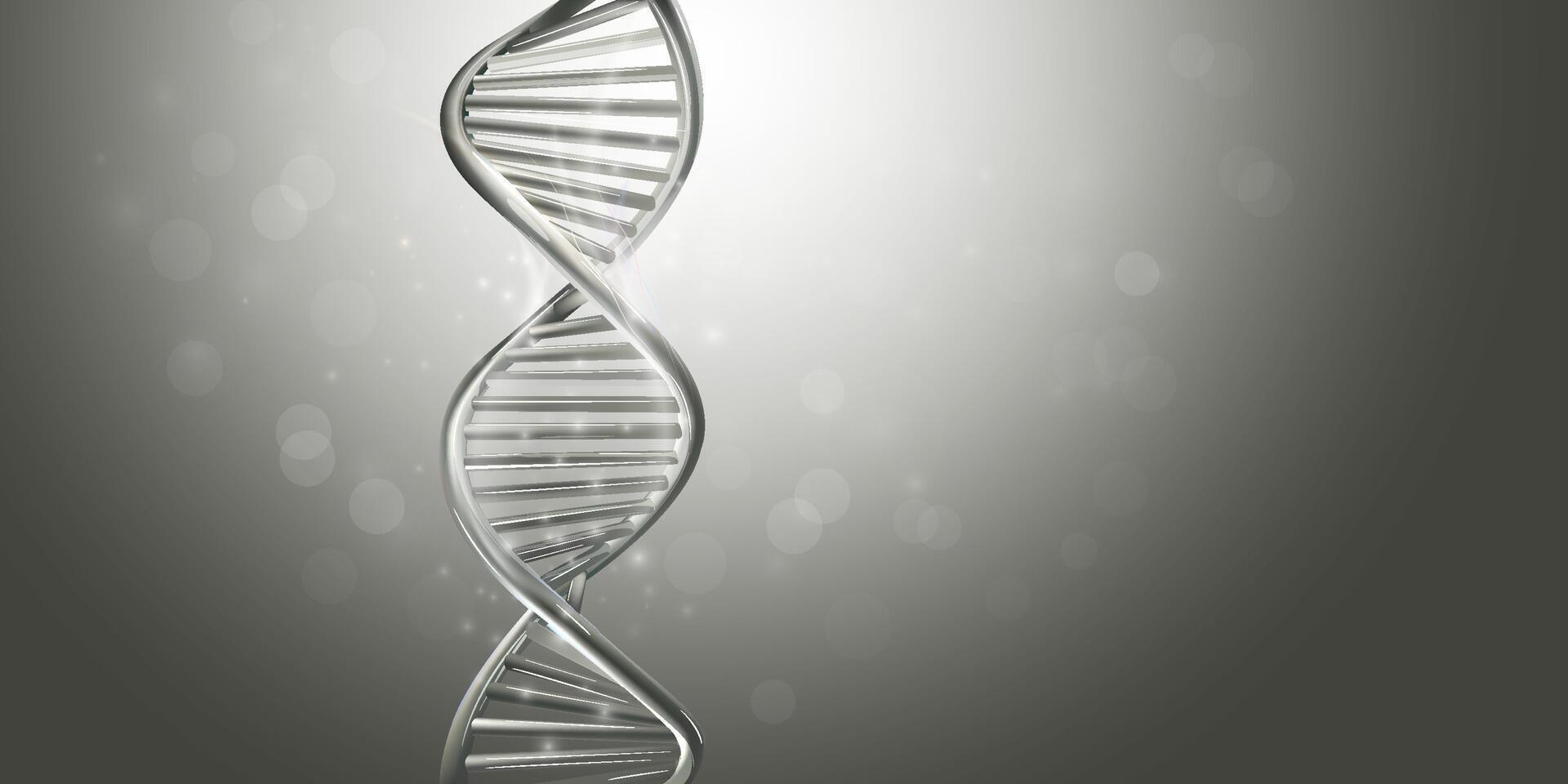 Double-stranded helix DNA model in gray color. vector