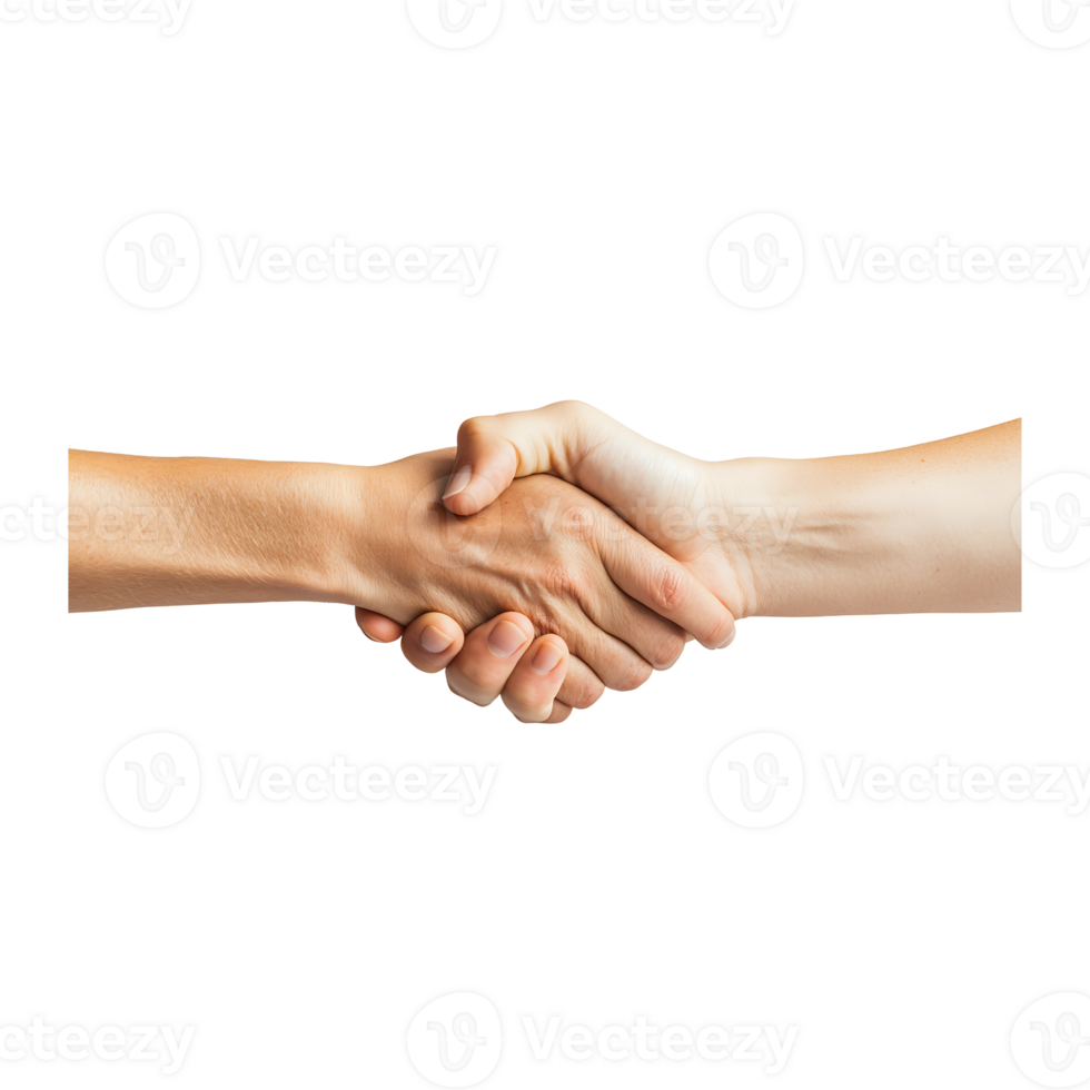 Two people shaking hands png