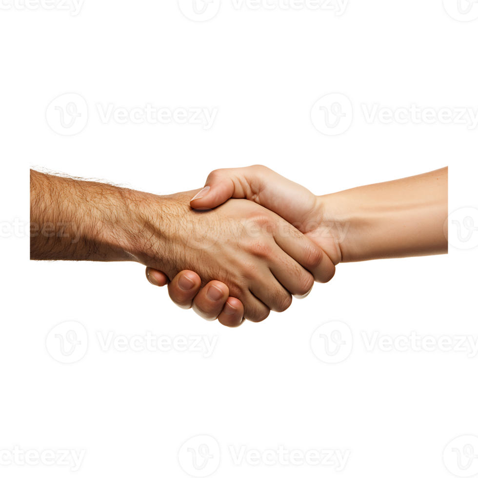 A man and woman shaking hands png