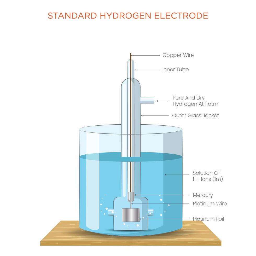 Standard Hydrogen Electrode SHE Reference Electrode for Measuring Electrode Potentials vector