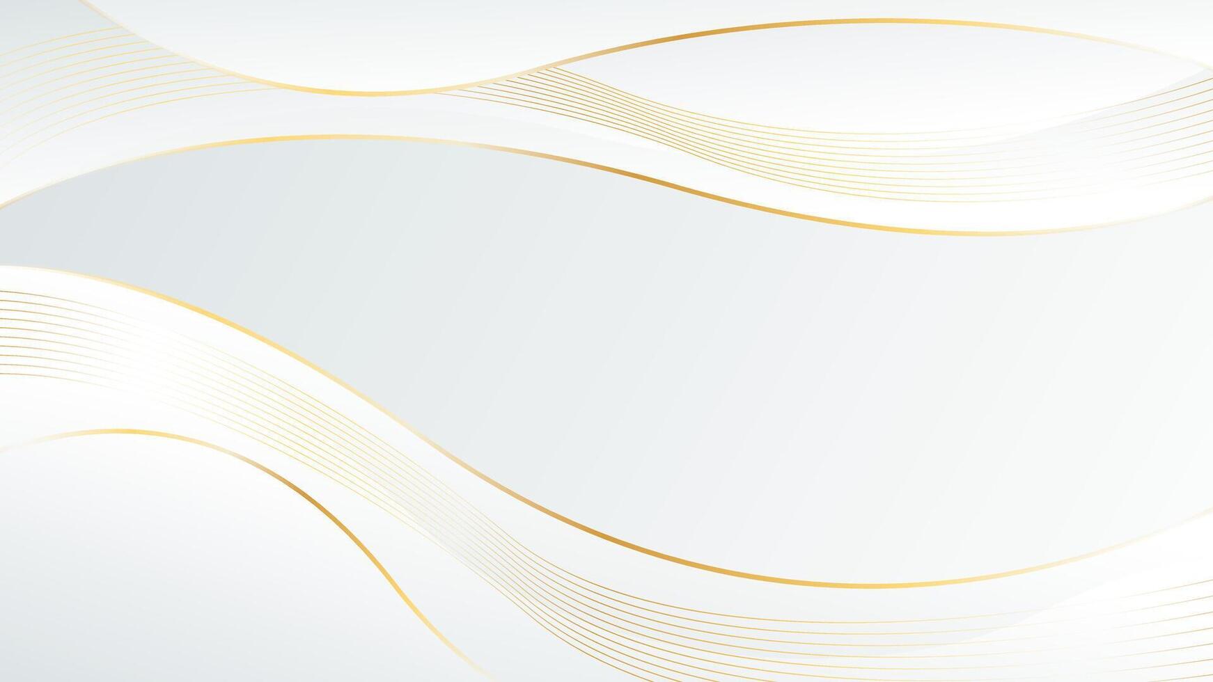 Elegant white-gray luxury wave background with gold lines. Abstract modern wallpapers vector
