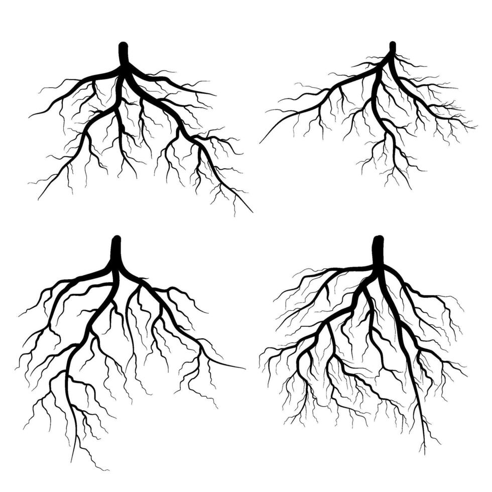black tree roots collection vector
