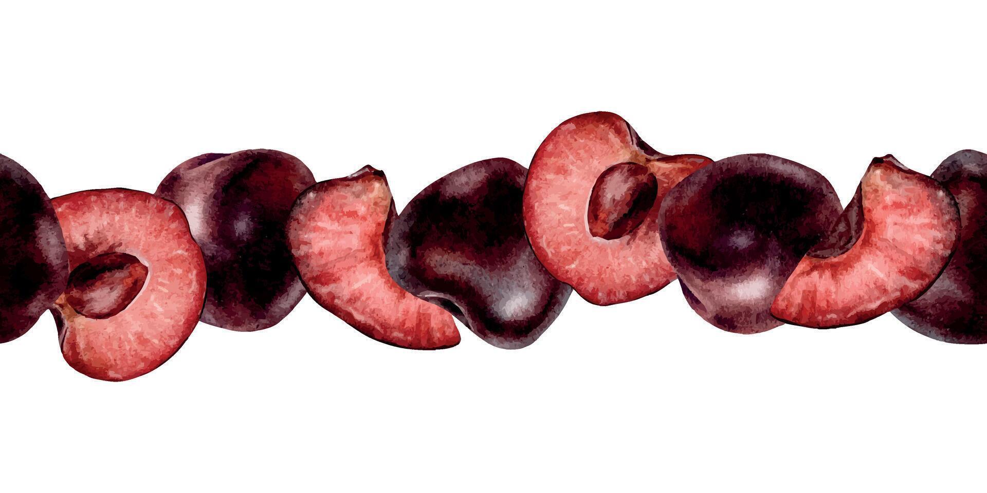 Whole and Slice Cherry berries. Cross section of juicy Sweet Cherry fruits. Isolated Hand drawn watercolor seamless border. Background for wallpaper, wrapping paper, cosmetic, textile vector