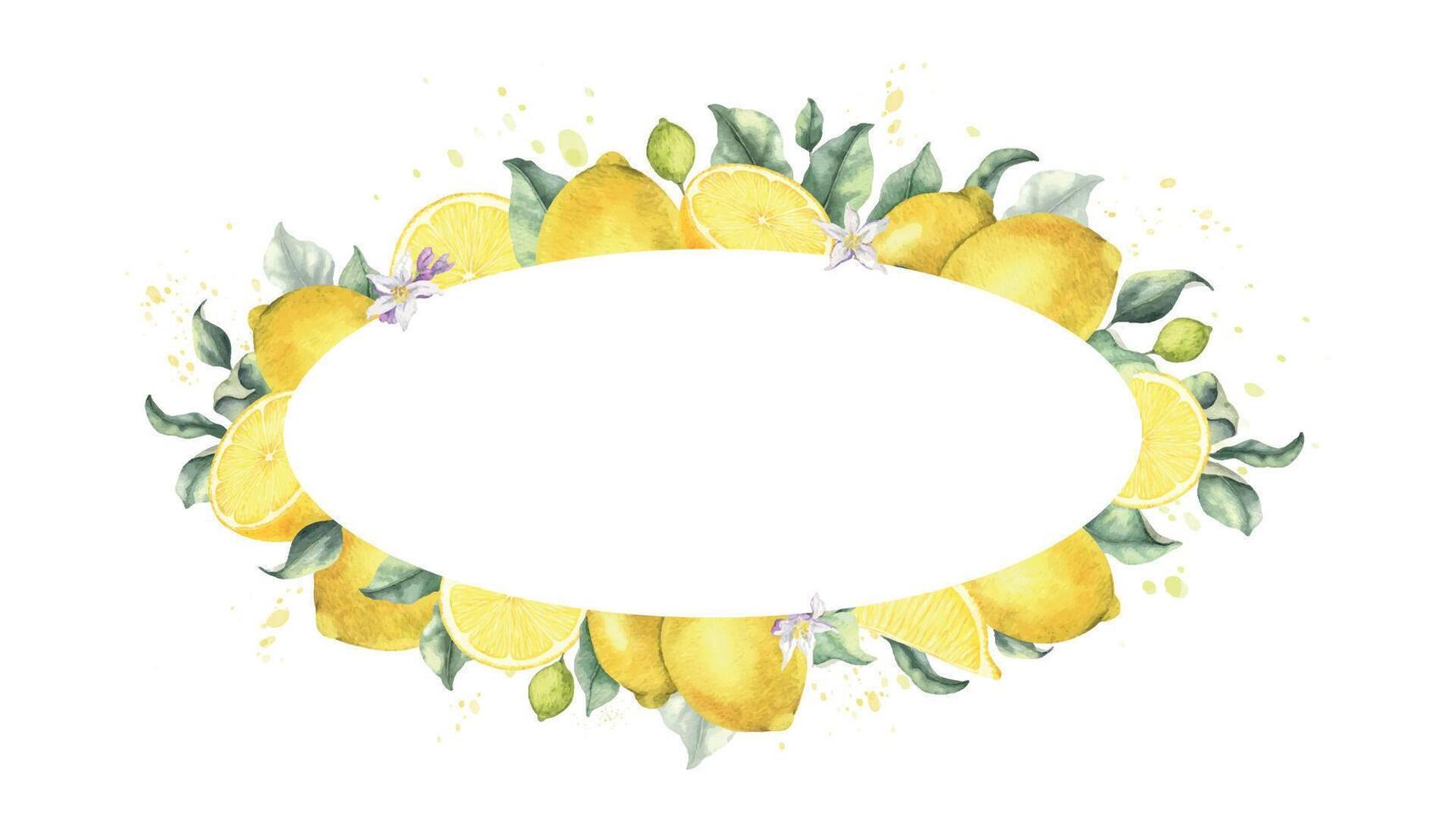 Lemons fruits, flowers and leaves on branch. Oval frame tropical citrus fruits. Isolated hand drawn watercolor template for packaging of goods, menu, cosmetic, wedding card vector