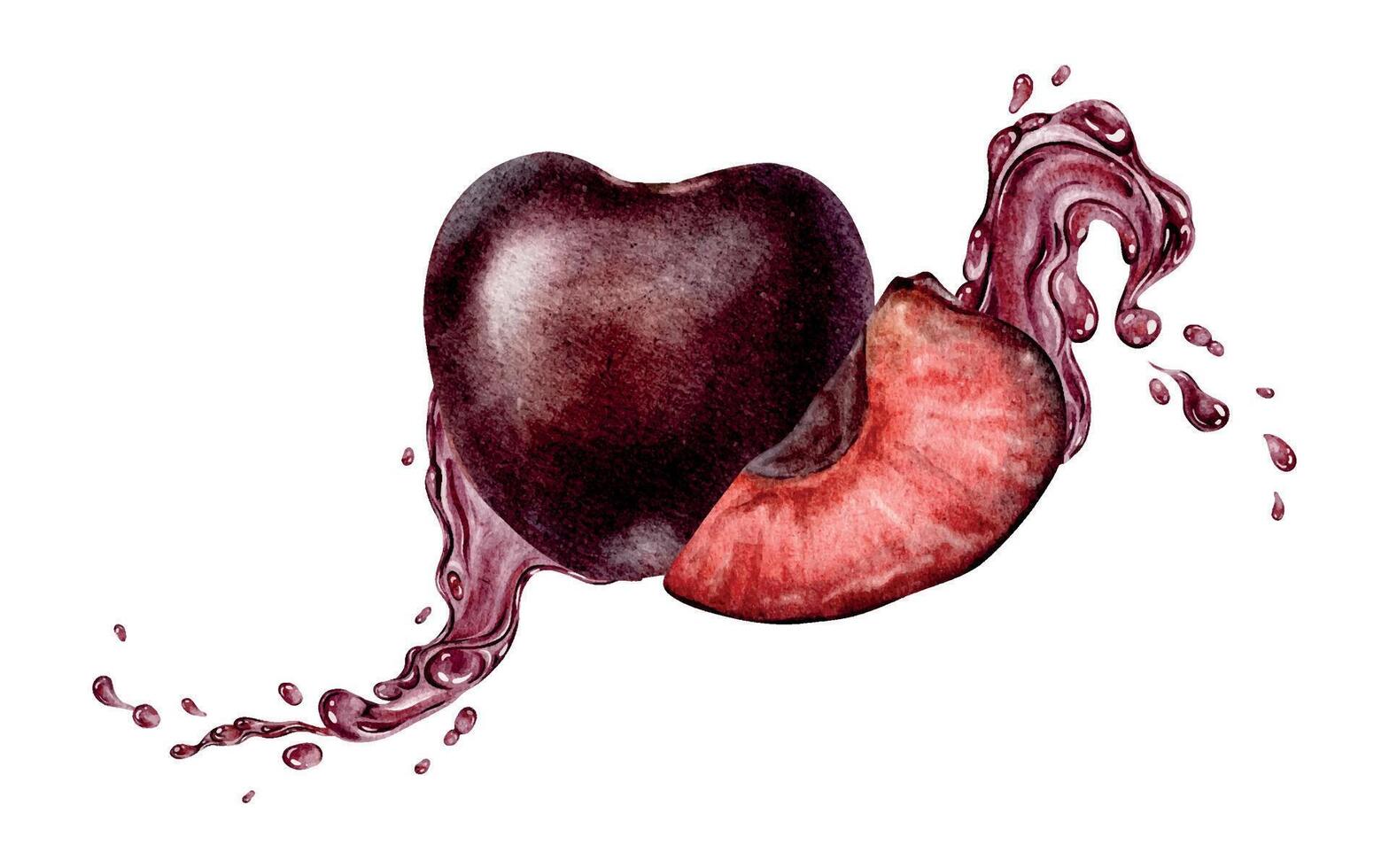 Slice of Sweet Cherry fruit with dynamic liquid red juice and splashes. Cross section of juicy cherry berry. Isolated hand drawn watercolor illustration for menu, packaging of goods, advertisement vector