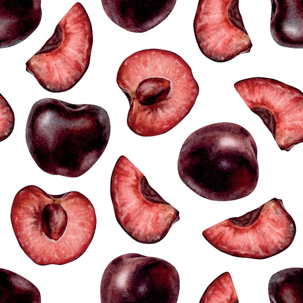 Whole and Slice Cherry berries. Cross section of juicy Sweet Cherry fruits. Isolated watercolor seamless pattern of Sweet Cherry fruits. Background for, packaging of goods, cosmetic, textile vector