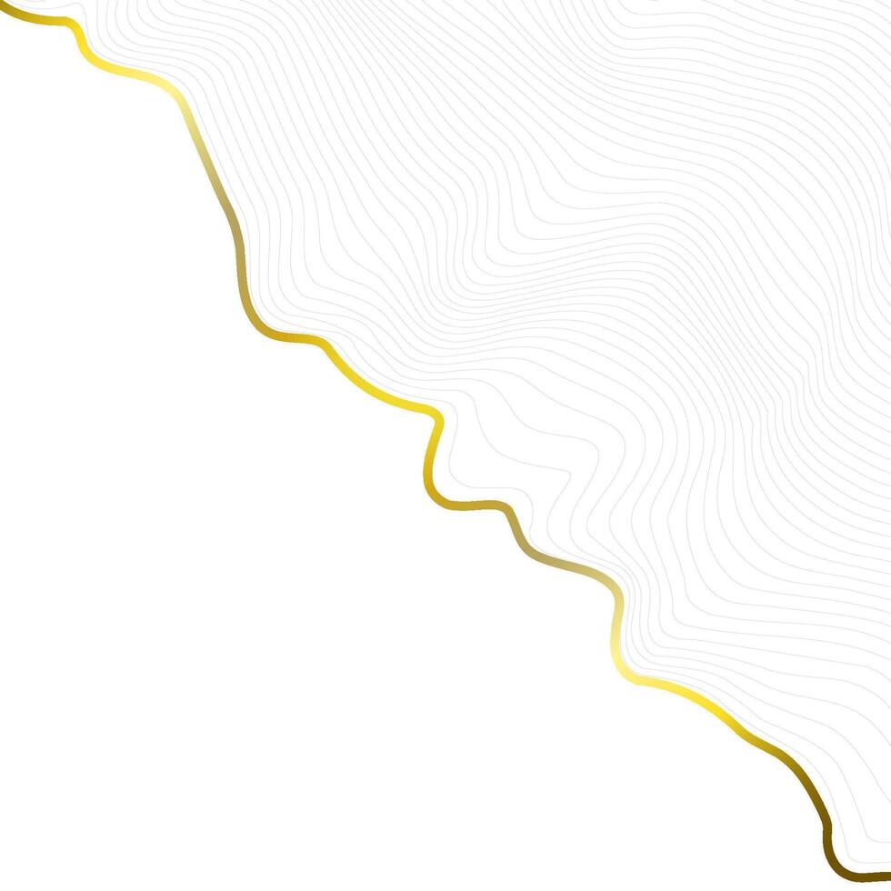 White background with golden line. Abstract topographic map. illustration. vector