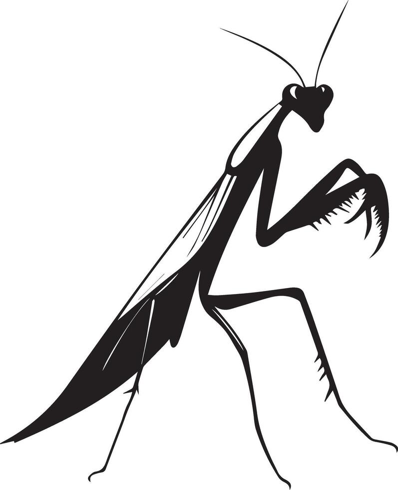Praying mantis silhouette vector