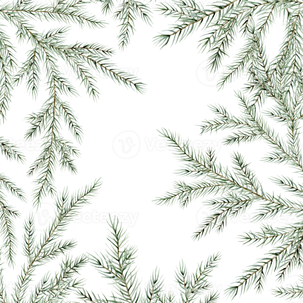 Frame with Watercolor Christmas tree branches. Hand painted fir-needle natural illustration on isolated background. Card of fir tree branches for Christmas and new year. png