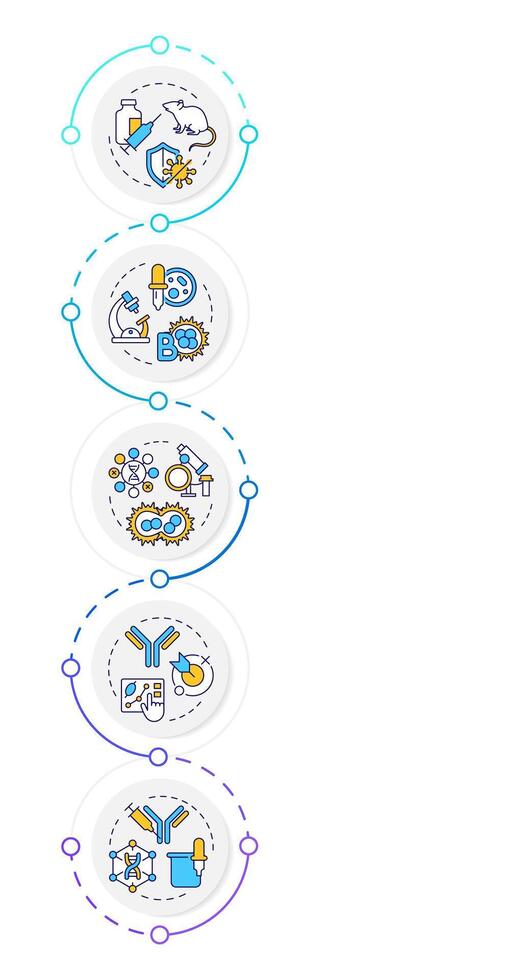 Hybridoma technology infographic design template. Immunization. Monoclonal antibodies. Data visualization with 5 options. Process vertical flow chart vector