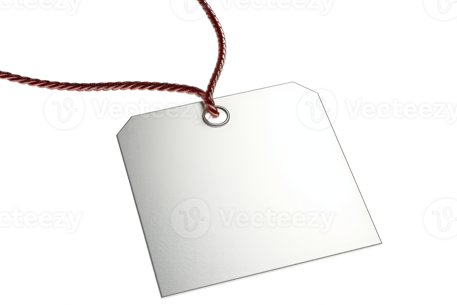 Blank tag. Add your own text. png