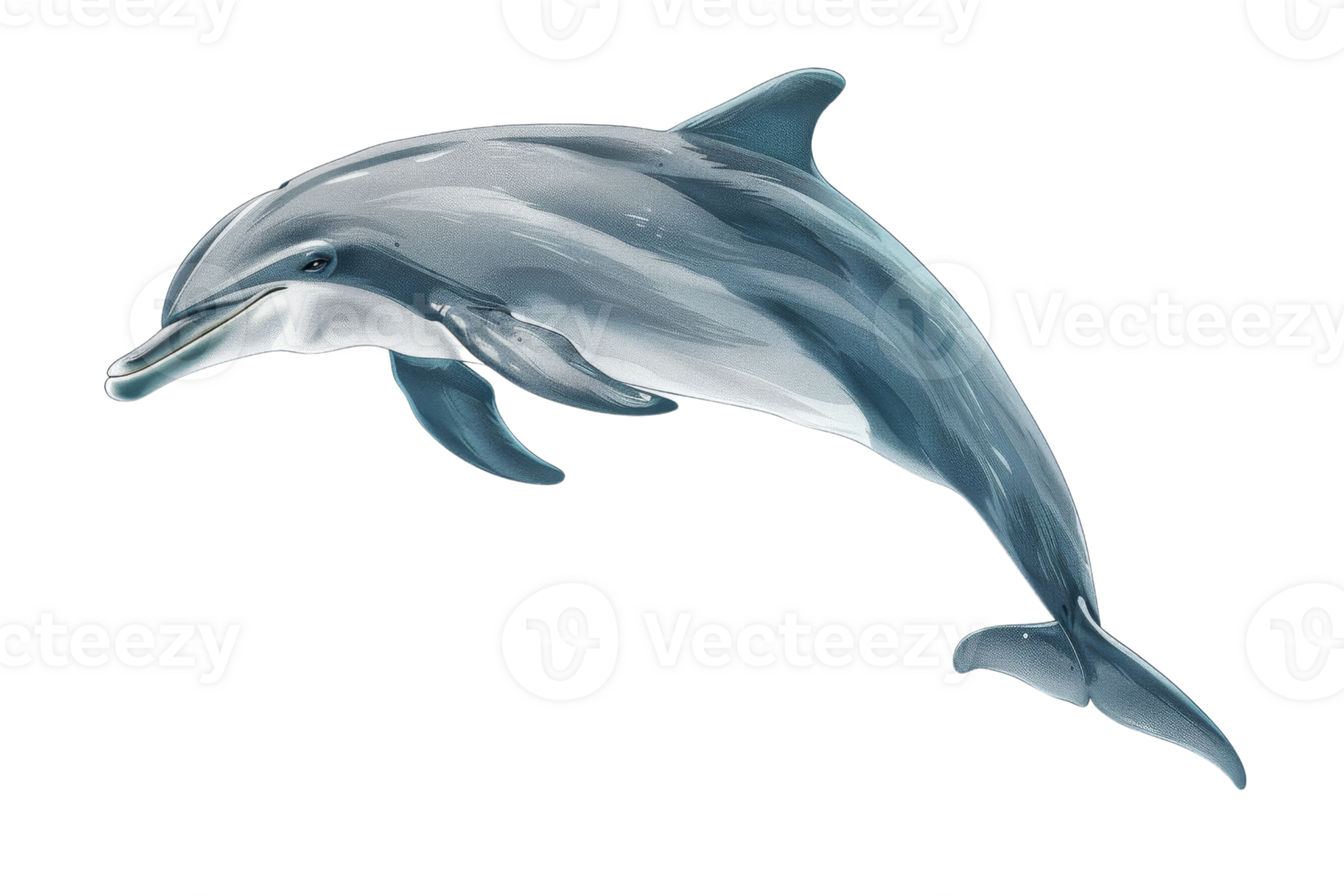 A bottlenose dolphin leaps gracefully out of the water, its sleek body glistening in the sun. png