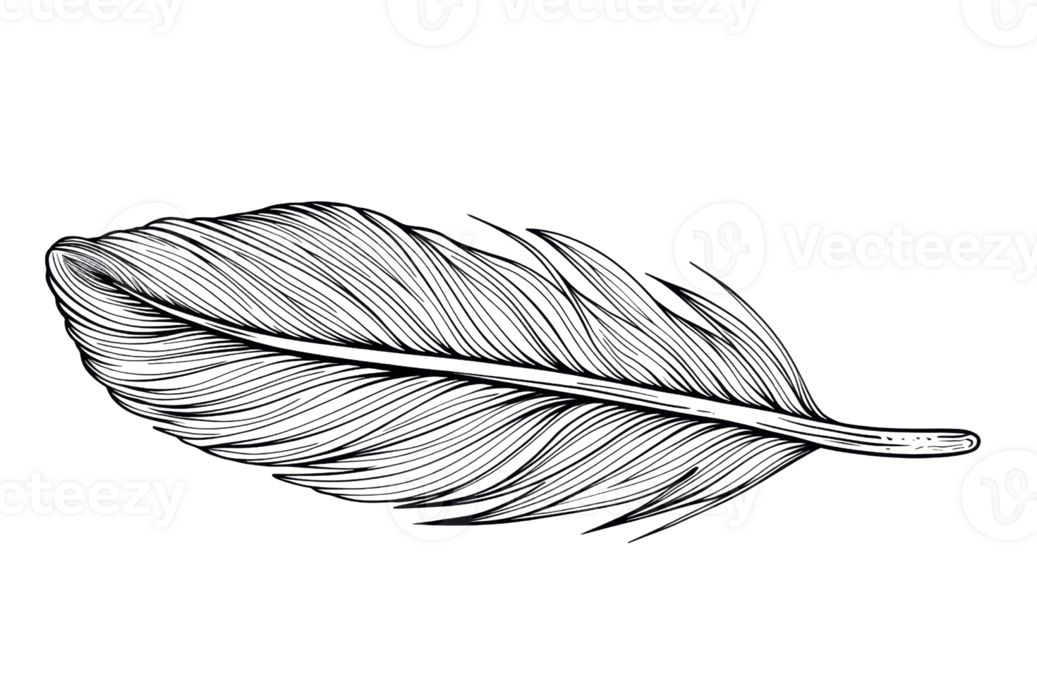 Black feather on a transparent background. png