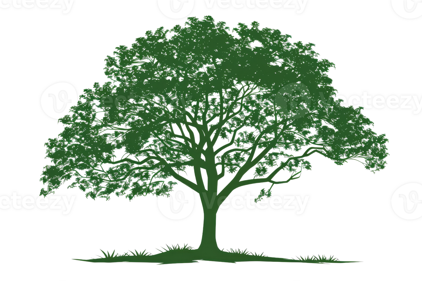 minimal and elegant illustration of a green tree with deep roots png