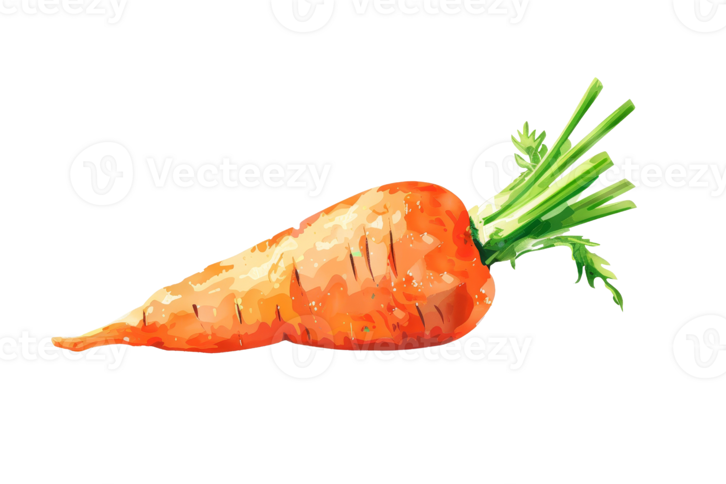 This is a watercolor painting of a carrot. The carrot is orange and has green leaves. It is isolated on a transparent background. png